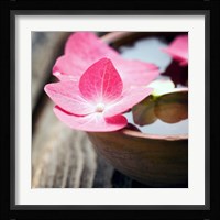 Zen Bowl Fine Art Print
