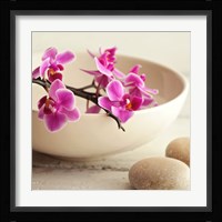 Zen Pebble II Fine Art Print