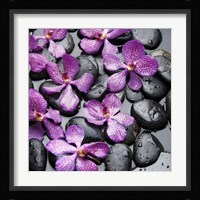 Zen Pebbles IV Fine Art Print