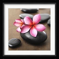 Zen Pebbles II Fine Art Print