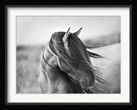 Fierce Grace Fine Art Print