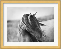 Fierce Grace Fine Art Print