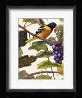 Golden Glow I Framed Print