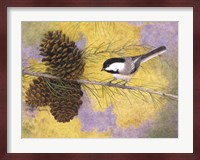 Chickadee in the Pines II Fine Art Print