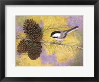 Chickadee in the Pines II Framed Print
