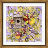 Chickadee & Apples Fine Art Print