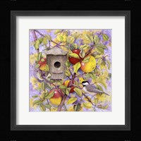 Chickadee & Apples Framed Print