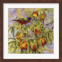 Painted Bunting & Peaches Fine Art Print