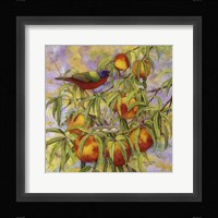 Painted Bunting & Peaches Framed Print