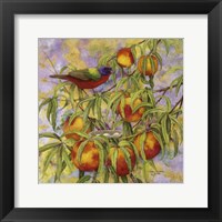 Painted Bunting & Peaches Fine Art Print
