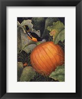 Oriole & Pumpkin Fine Art Print