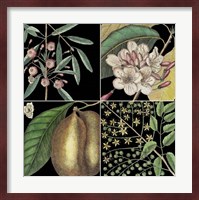 Graphic Botanical Grid II Fine Art Print