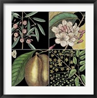 Graphic Botanical Grid II Fine Art Print