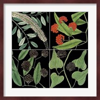 Graphic Botanical Grid IV Fine Art Print