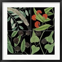 Graphic Botanical Grid IV Fine Art Print