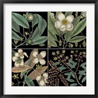 Graphic Botanical Grid V Fine Art Print