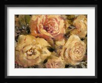 Floral in Bloom II Framed Print