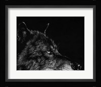 Scratchboard Wolf I Fine Art Print