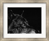 Scratchboard Wolf I Fine Art Print