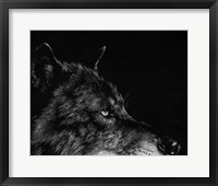 Scratchboard Wolf I Fine Art Print