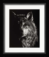 Scratchboard Wolf III Fine Art Print