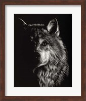 Scratchboard Wolf III Fine Art Print