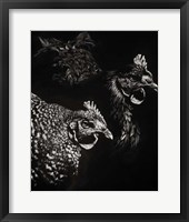 Scratchboard Skeptics Fine Art Print