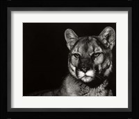 Scratchboard Nightfall Fine Art Print