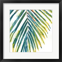 Palm Wonderful I Framed Print
