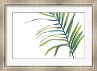 Palm Wonderful V Fine Art Print