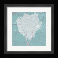 Graphic Sea Fan I Framed Print
