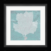 Graphic Sea Fan III Framed Print