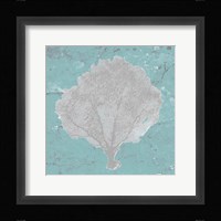 Graphic Sea Fan V Framed Print