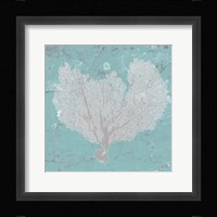 Graphic Sea Fan VI Fine Art Print