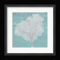Graphic Sea Fan VII Framed Print