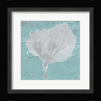 Graphic Sea Fan VIII Framed Print
