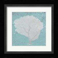 Graphic Sea Fan IX Framed Print