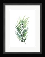 Untethered Palm I Framed Print