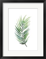 Untethered Palm I Framed Print
