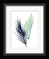 Untethered Palm III Framed Print