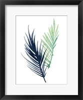 Untethered Palm III Framed Print