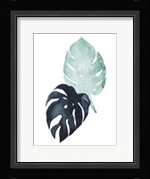 Untethered Palm IV Framed Print