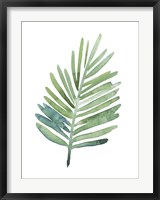 Untethered Palm V Fine Art Print