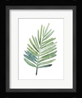 Untethered Palm V Framed Print