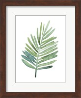Untethered Palm V Fine Art Print