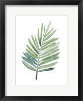 Untethered Palm V Framed Print