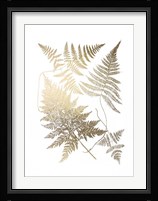 Gold Foil Ferns III Fine Art Print