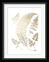 Gold Foil Ferns IV Fine Art Print