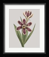 Floral Gems III Fine Art Print