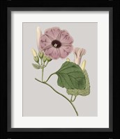 Floral Gems IV Fine Art Print